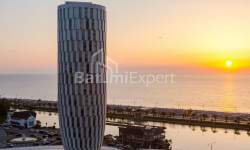 Квартира 1-комн 30 м² - Зураба Горгиладзе, Батуми