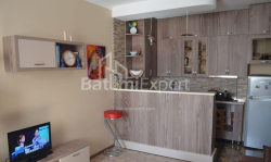 Квартира 3-комн 64 м² - Шалва Инасаридзе, Батуми