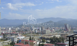 Квартира 1-комн 31 м² - Нико Пиросмани, Батуми