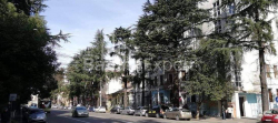 Квартира 3-комн 61 м² - Николоза Бараташвили, Батуми
