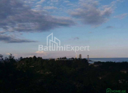 Земельный участок 300 м² - Юрьевская, Батуми