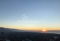 Квартира 1-комн 36 м² - Григола Элиава, Батуми