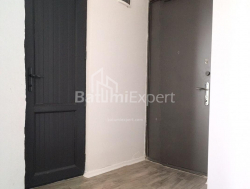 Квартира 2-комн 48 м² - Александра Пушкина, Батуми