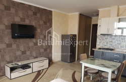 Квартира 1-комн 33 м² - Шерифа Химшиашвили, Батуми