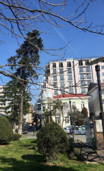 Квартира 1-комн 45 м² - Давида Клдиашвили, Батуми