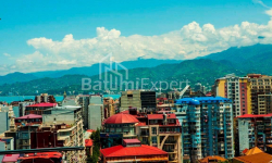 Квартира 3-комн 62 м² - Вахтанга Горгасали, Батуми