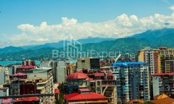 Квартира 3-комн 62 м² - Вахтанга Горгасали, Батуми
