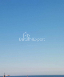 Квартира 1-комн 140 м² - Юрьевская, Батуми