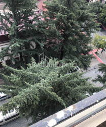 Квартира 70 м² - Юрьевская, Батуми, Грузия