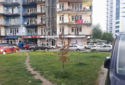 Квартира 1-комн 286 м² - Шерифа Химшиашвили, Батуми