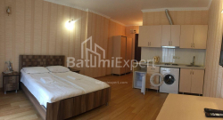 Квартира 1-комн 33 м² - Шерифа Химшиашвили, Батуми