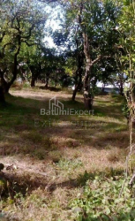 Квартира 4-комн 259 м² - Юрьевская, Батуми