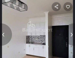 Квартира 2-комн 45 м² - Ильи Чавчавадзе, Батуми