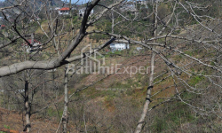 Квартира 2-комн 170 м² - Юрьевская, Батуми