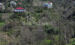 Квартира 2-комн 170 м² - Юрьевская, Батуми