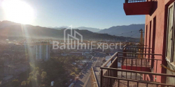 Квартира 1-комн 28 м² - Петра Багратиони, Батуми