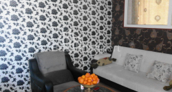 Квартира 3-комн 65 м² - Нико Пиросмани, Батуми