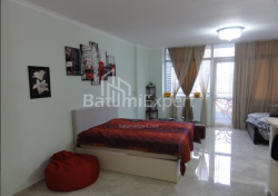 Квартира 1-комн 50 м² - Нико Пиросмани, Батуми