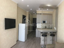 Квартира 48.2 м² - Шалва Инасаридзе, Батуми, Грузия