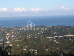 Частный дом 6-комн 5000 м² - Мезгваурта, Чакви