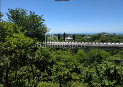 Земельный участок 536 м² - Агмашенебели, Чакви