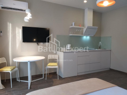 Квартира 1-комн 33 м² - Шалва Инасаридзе, Батуми
