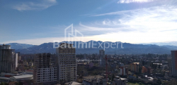 Квартира 1-комн 31.3 м² - Шалва Инасаридзе, Батуми