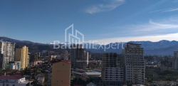 Квартира 1-комн 31.3 м² - Шалва Инасаридзе, Батуми