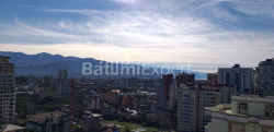 Квартира 1-комн 31.3 м² - Шалва Инасаридзе, Батуми