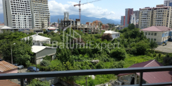 Квартира 1-комн 33 м² - Шалва Инасаридзе, Батуми