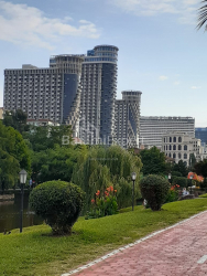 Квартира 1-комн 30.7 м² - Шерифа Химшиашвили, Батуми