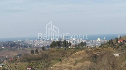 Частный дом 5-комн 4200 м² - Агара, AGARA