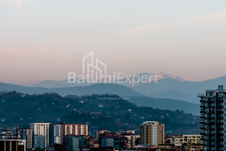 Квартира 33.1 м² - Шалва Инасаридзе, Батуми, Грузия